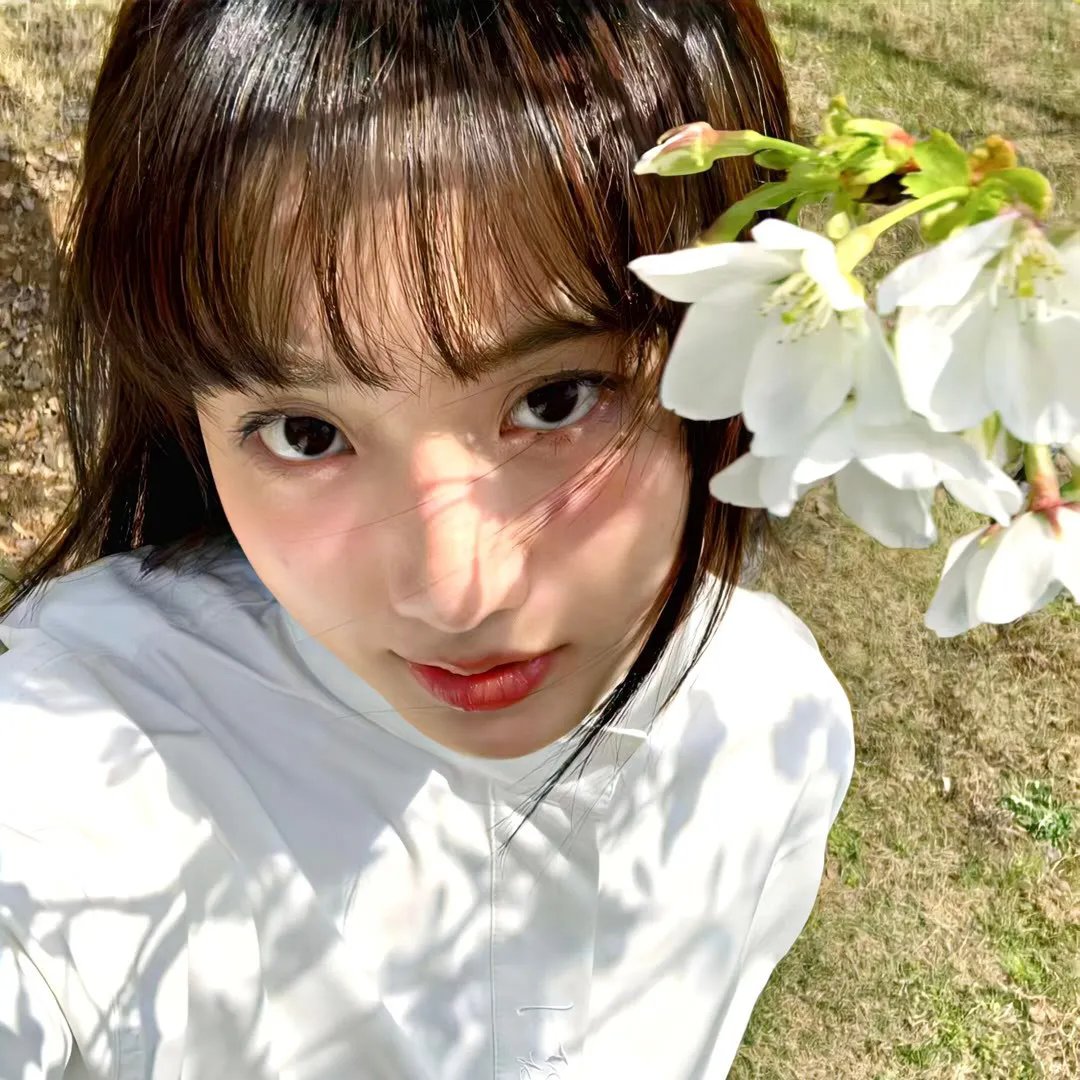 出谷黄莺